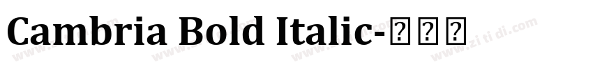 Cambria Bold Italic字体转换